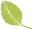 葉っぱ