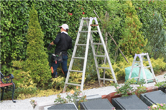 定期点検・清掃